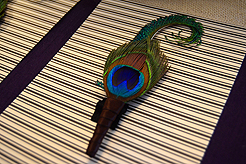 ROCKY MOUNTAIN WEDDING